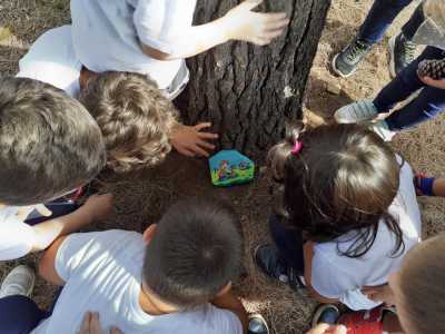 �A volte faccio in modo che siano gli anziani e i bambini a trovare i miei lavori � svela Francesco �. Cos� mi reco ad esempio nelle case di riposo o negli asili, dove lascio i sassi alle maestre affidando loro il compito di sparpagliarli...